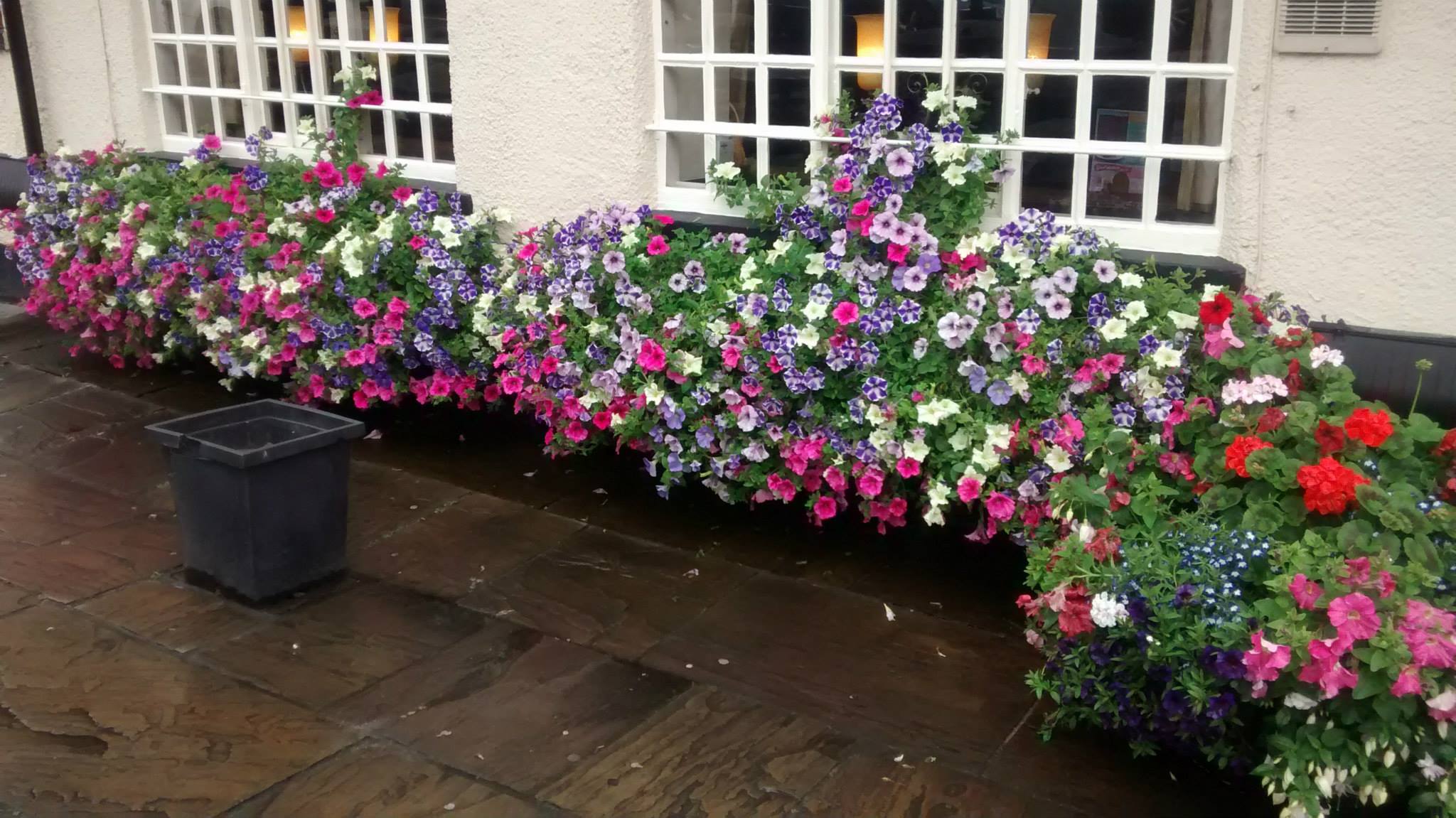 Plant nursery in Chesterfield Low Road Nursery