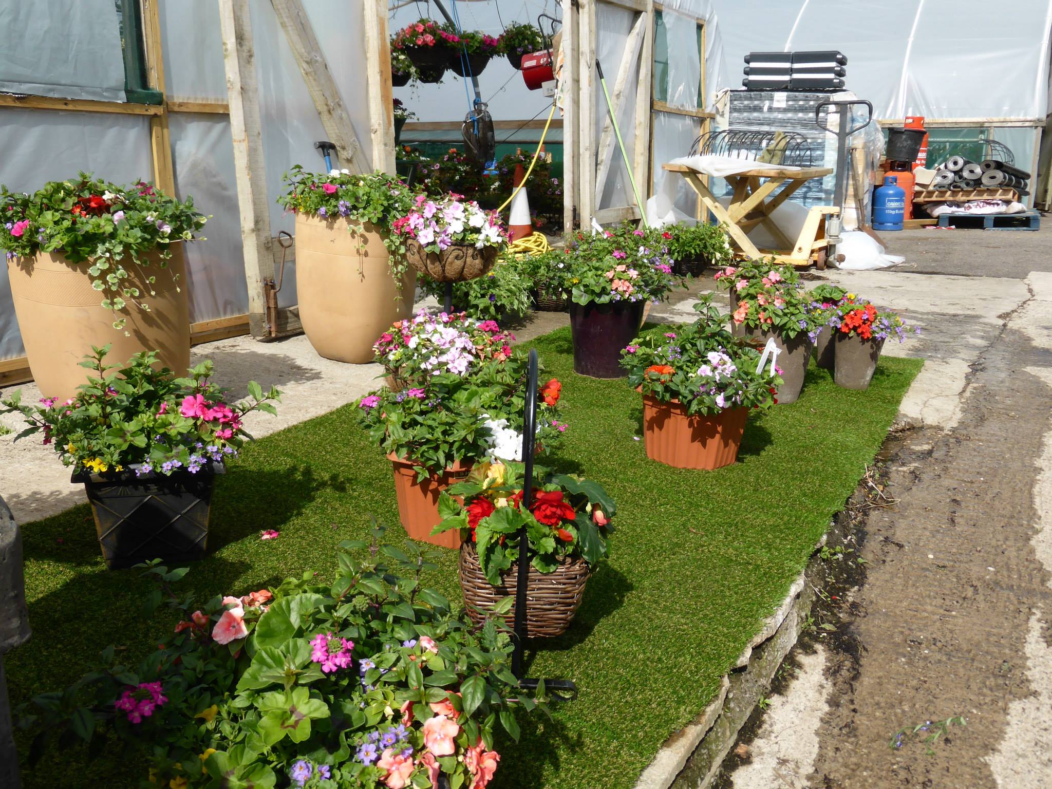 Plant nursery in Chesterfield Low Road Nursery